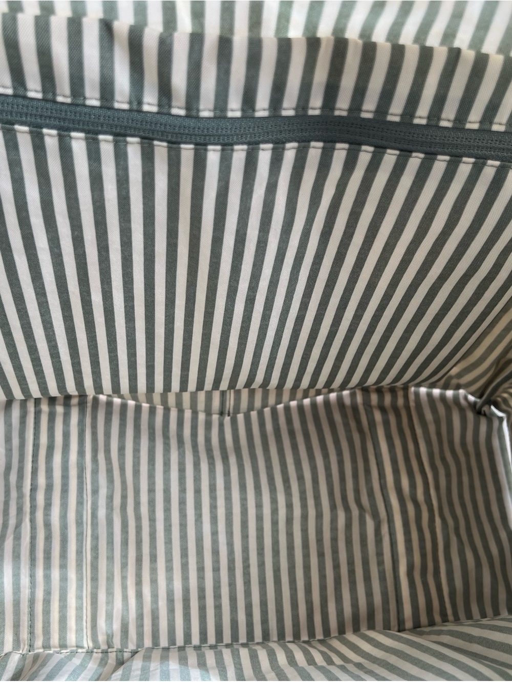 BAGGU Small Cloud Carry-On (Sage Stripe - Out of stock) - Picture 3 of 7